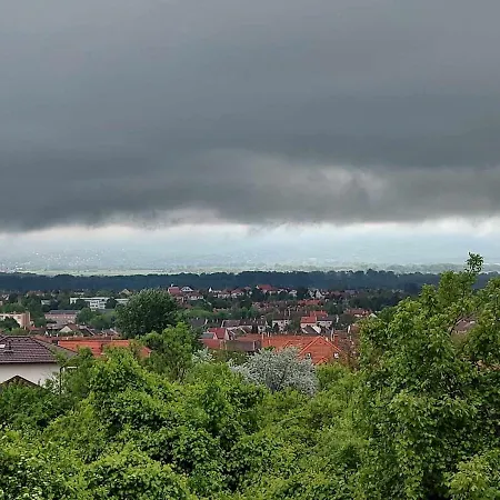 August Panorama *