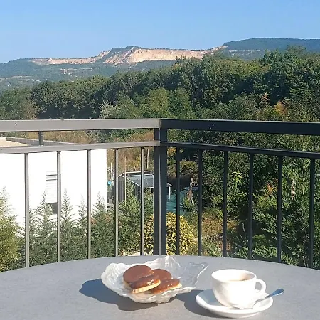 August Panorama